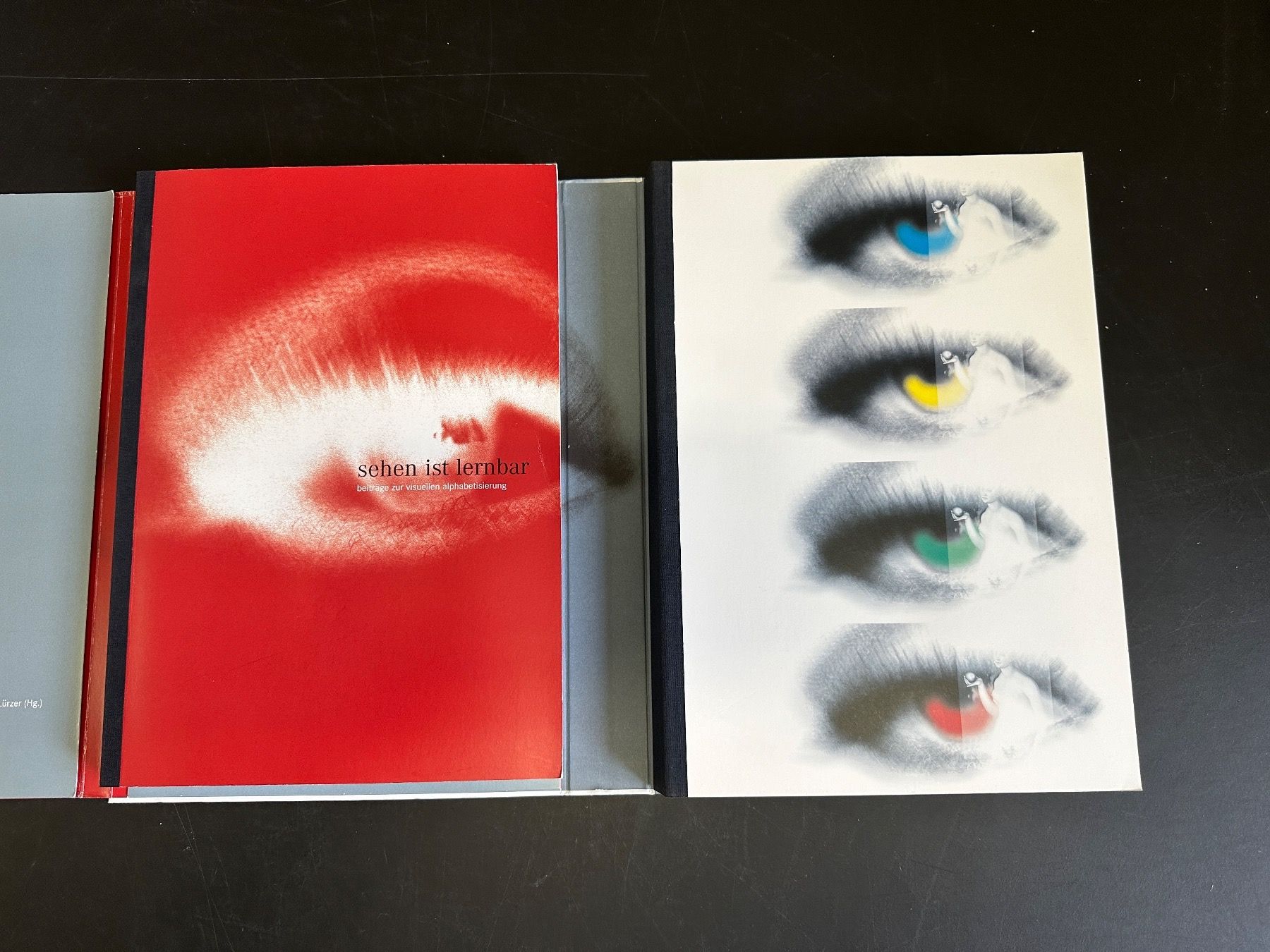 Libri: the learning eye / sehen ist lernbar. 2 Bücher in eine Mappe – Usato da Reiden venduto da Zofi-Brocki 1