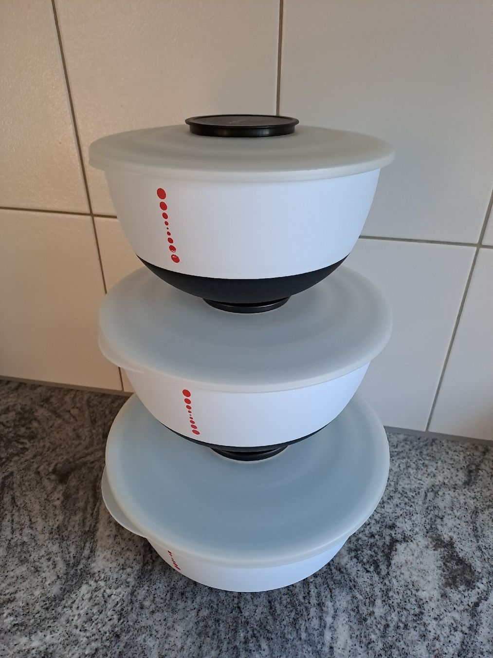 Ciotole: Schüsseln mit Deckel Zyliss 3er Set – Usato da Rickenbach LU venduto da bishiida