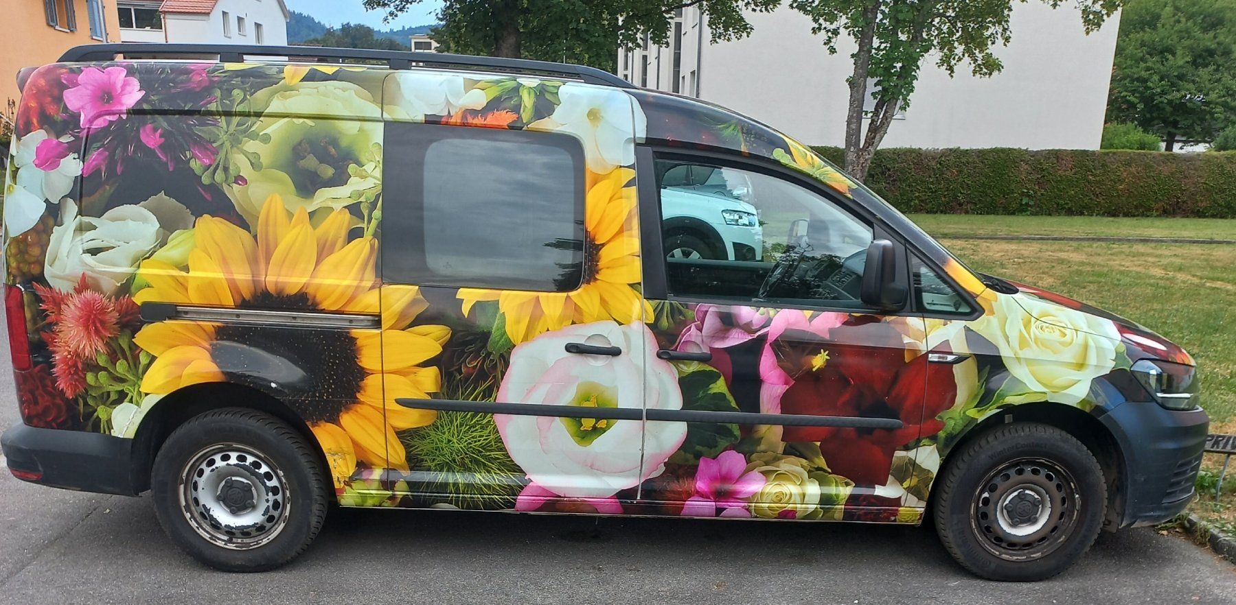 VW Nutzfahrzeuge: VW – Gebraucht aus Ostermundigen von dsad00 8