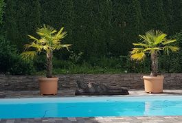 Garten-Steinfigur – CHF 2000
