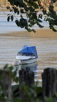 Nidelv Mercruiser 170