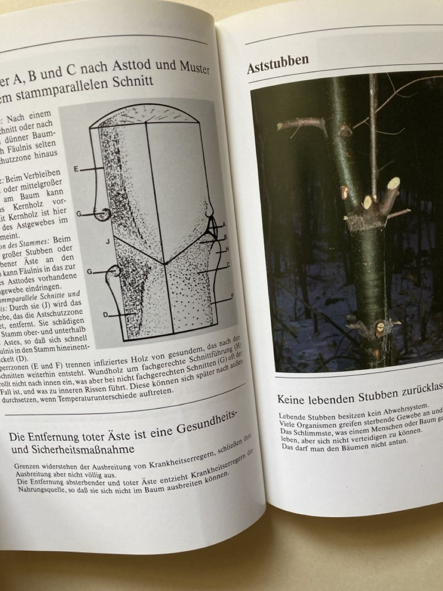 Libri: Baum Schnitt Leitfaden für richtige Baumpflege – Usato da Zürich venduto da 000rk 3