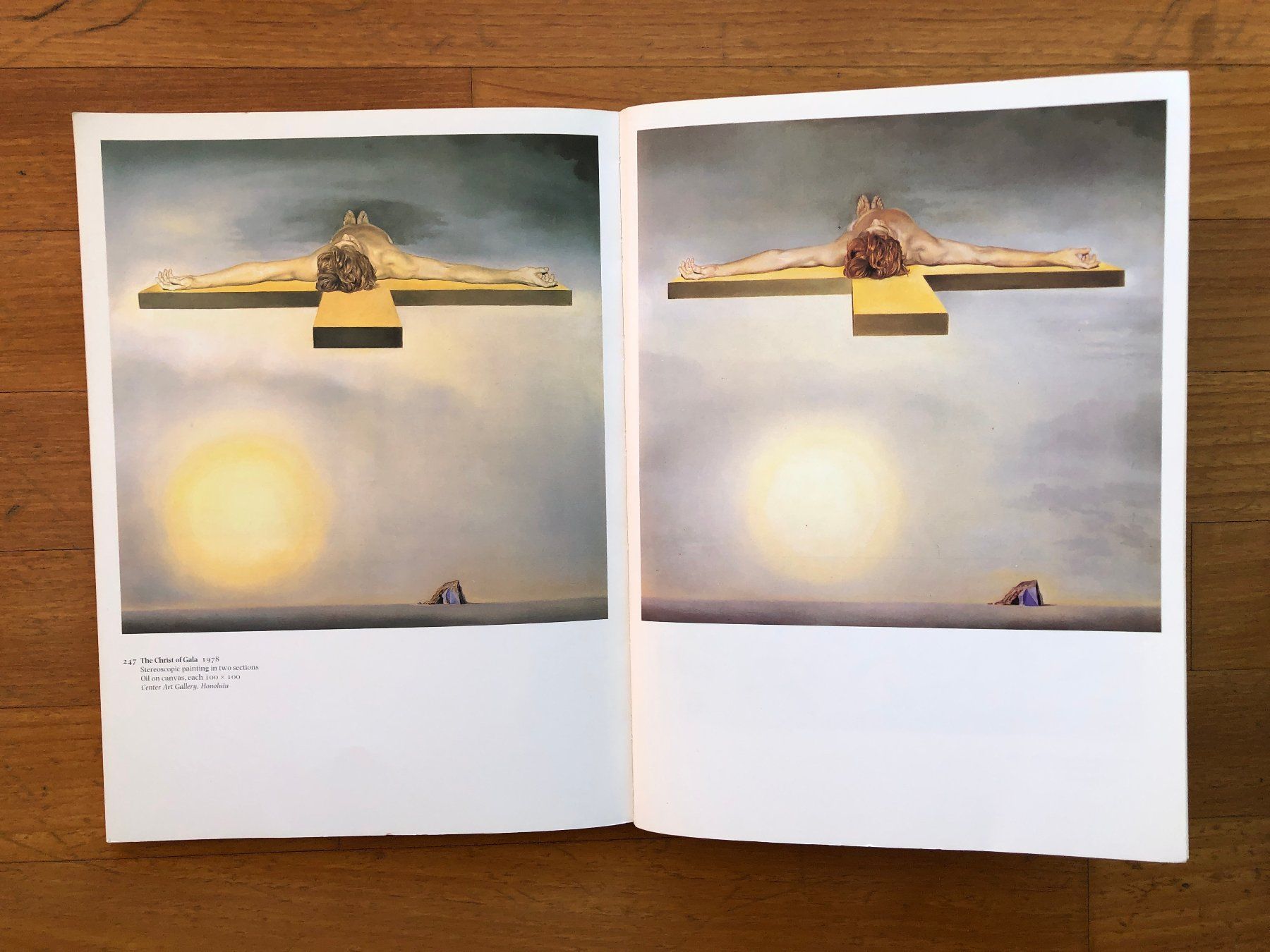 Libri: Kunst Buch: SALVADOR DALI - Tate Gallery – Usato da Lugano venduto da gio.yo 9