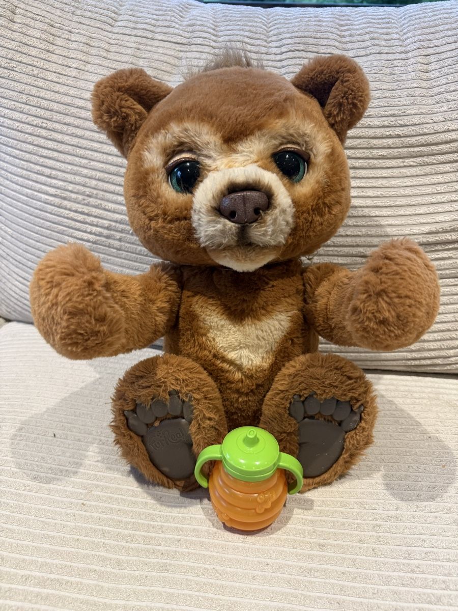 FurReal Spielzeuge: Furreal Teddy – Gebraucht aus Därstetten von frm_8kkx