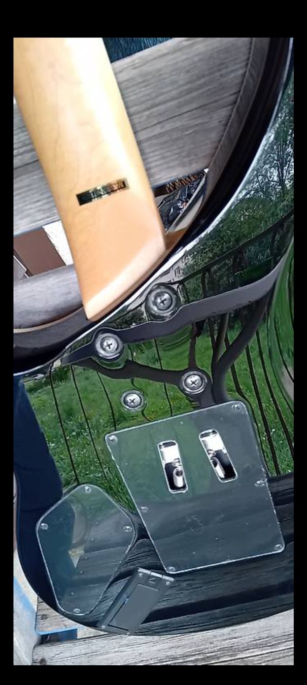Epiphone Strumenti musicali: EPIPHONE EM-2 PROPHECY CUSTOM (AKTIV) – Usato da STAUFEN venduto da skullshredder 4
