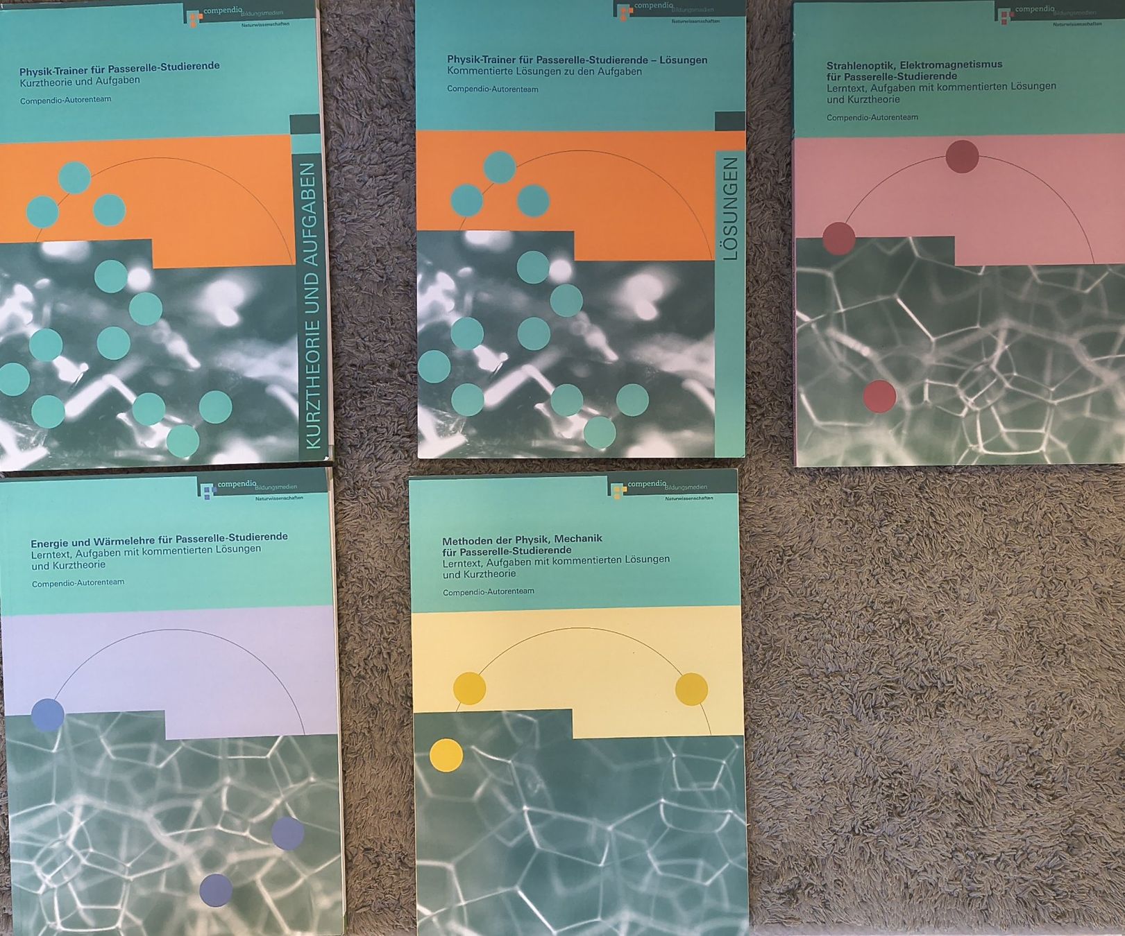 Libri: Passerellen Bücher – Usato da Dintikon venduto da Trixl 5