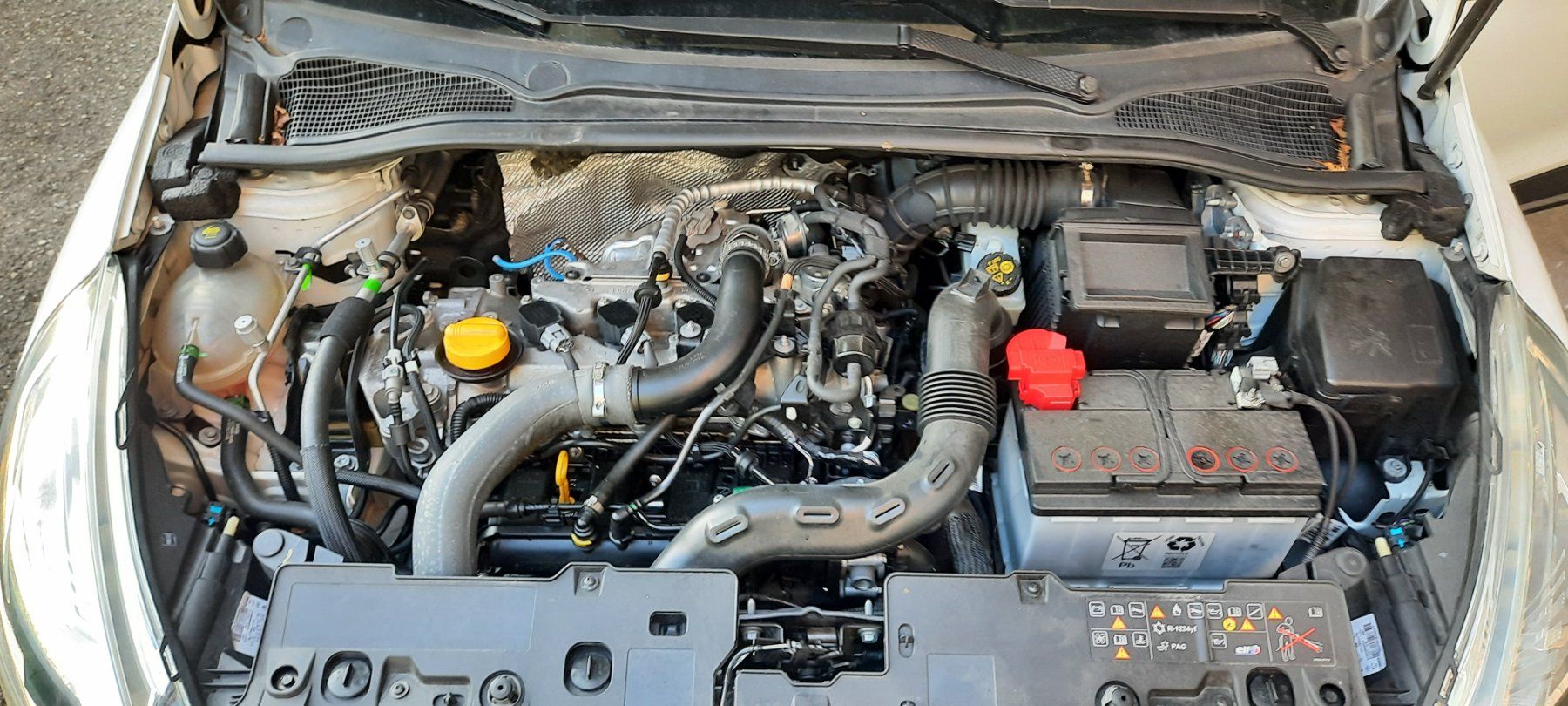 Renault Automobili: Renault Clio 1.2 – Difettoso da Oberburg venduto da Stefab 8
