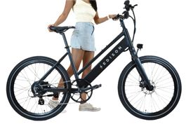 E-Bike Edison Elektrofahrrad Schwarz Neuzustand 437km