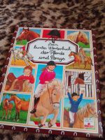 Dein buntes Wörterbuch der Pferde und Ponys 