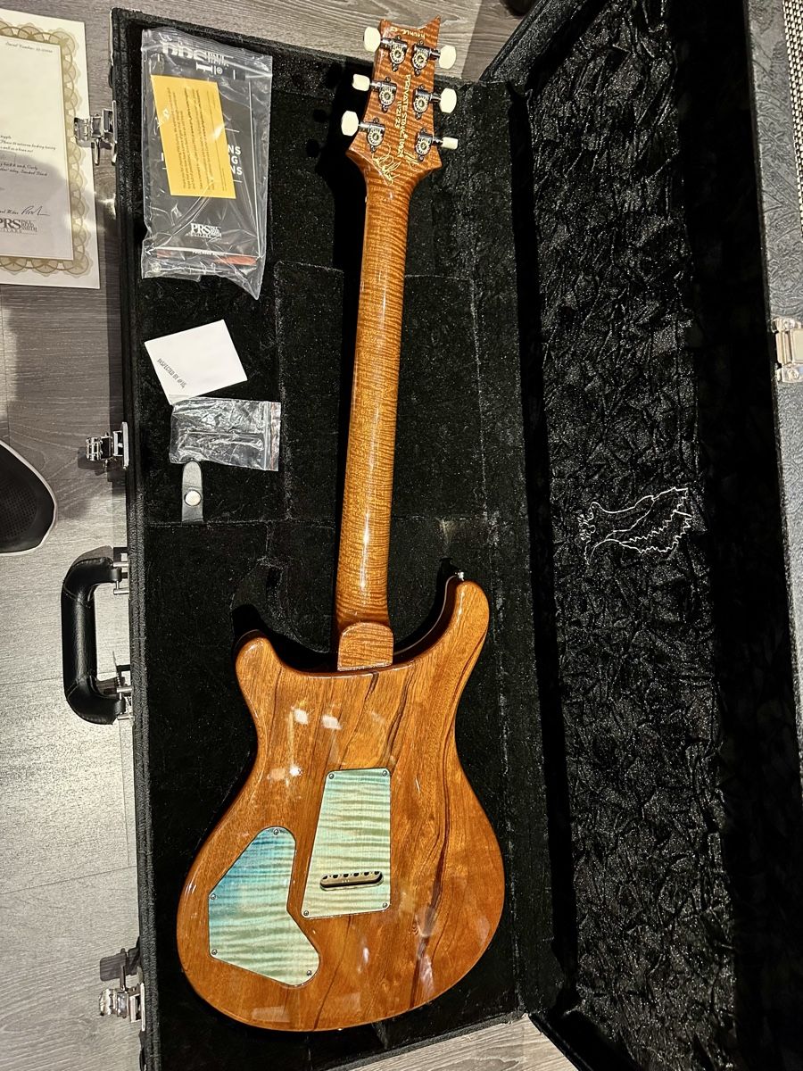 PRS Strumenti musicali: PRS private stock DGT Sub-Zero Dragon's Breath – Usato da Chêne-Bourg venduto da Orionad1 1