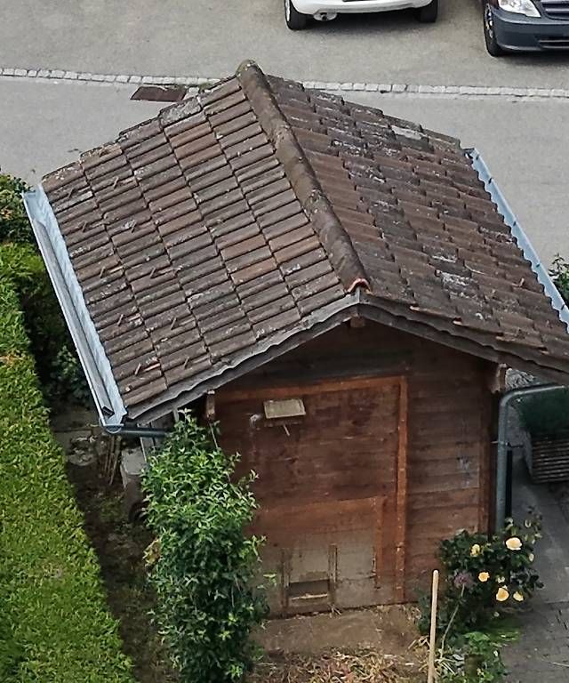 Casette da giardino & serre: Massives Gartenhaus – Usato da Dietschwil venduto da aha_5wty 2
