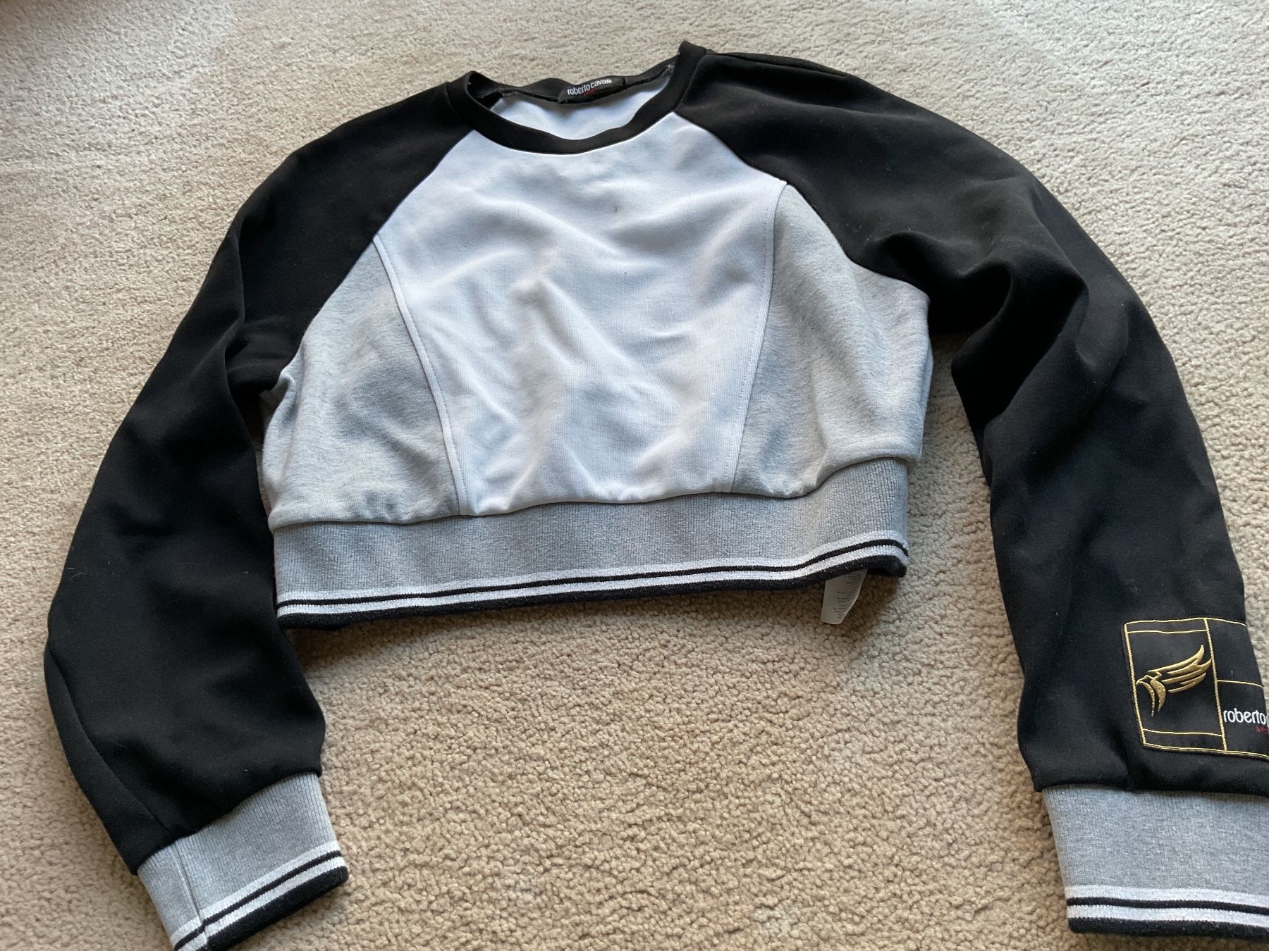 Roberto Cavalli Maglioni & Felpe: Kurzpullover Cavalli Sport – Usato da Dielsdorf venduto da Jgent 1