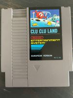 Clu Clu Land NES