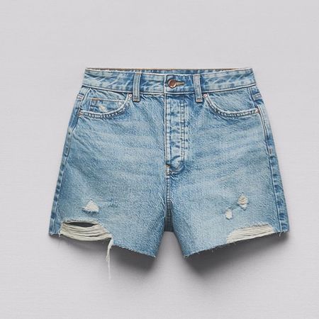 Zara pants