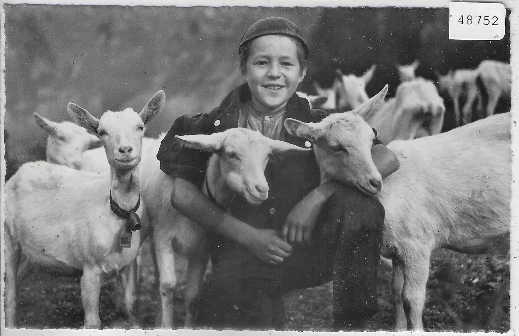 Cartoline postali: Geisen-Peter - Ziegen chevres – Usato da Ettingen venduto da Kartenplanet