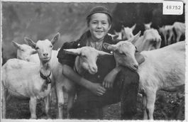 Geisen-Peter - Ziegen chevres
