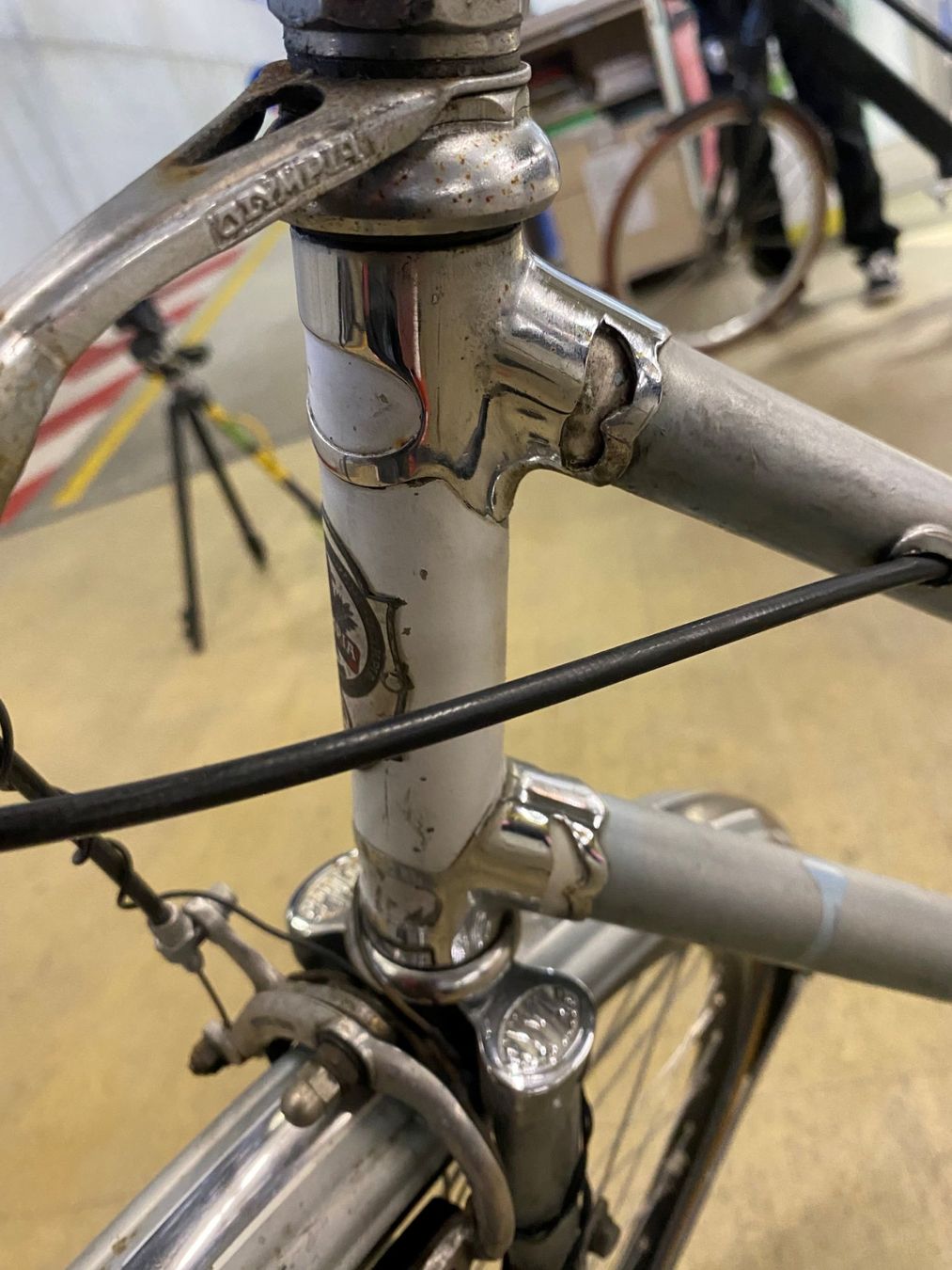Biciclette: Damenvelo Olympia ( Nr. – Usato da Winterthur venduto da Veloauktion 3