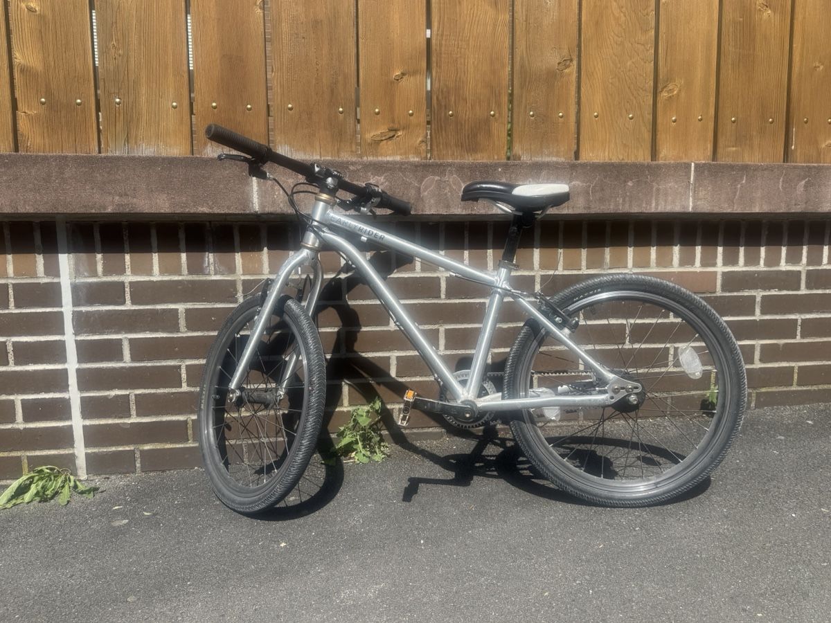 Early Rider Biciclette: Early Rider Belter 20 Zoll – Usato da Horgen venduto da JekerZurich