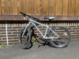 Early Rider Belter 20 Zoll