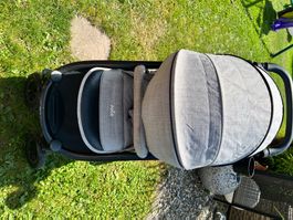 Joie Buggy