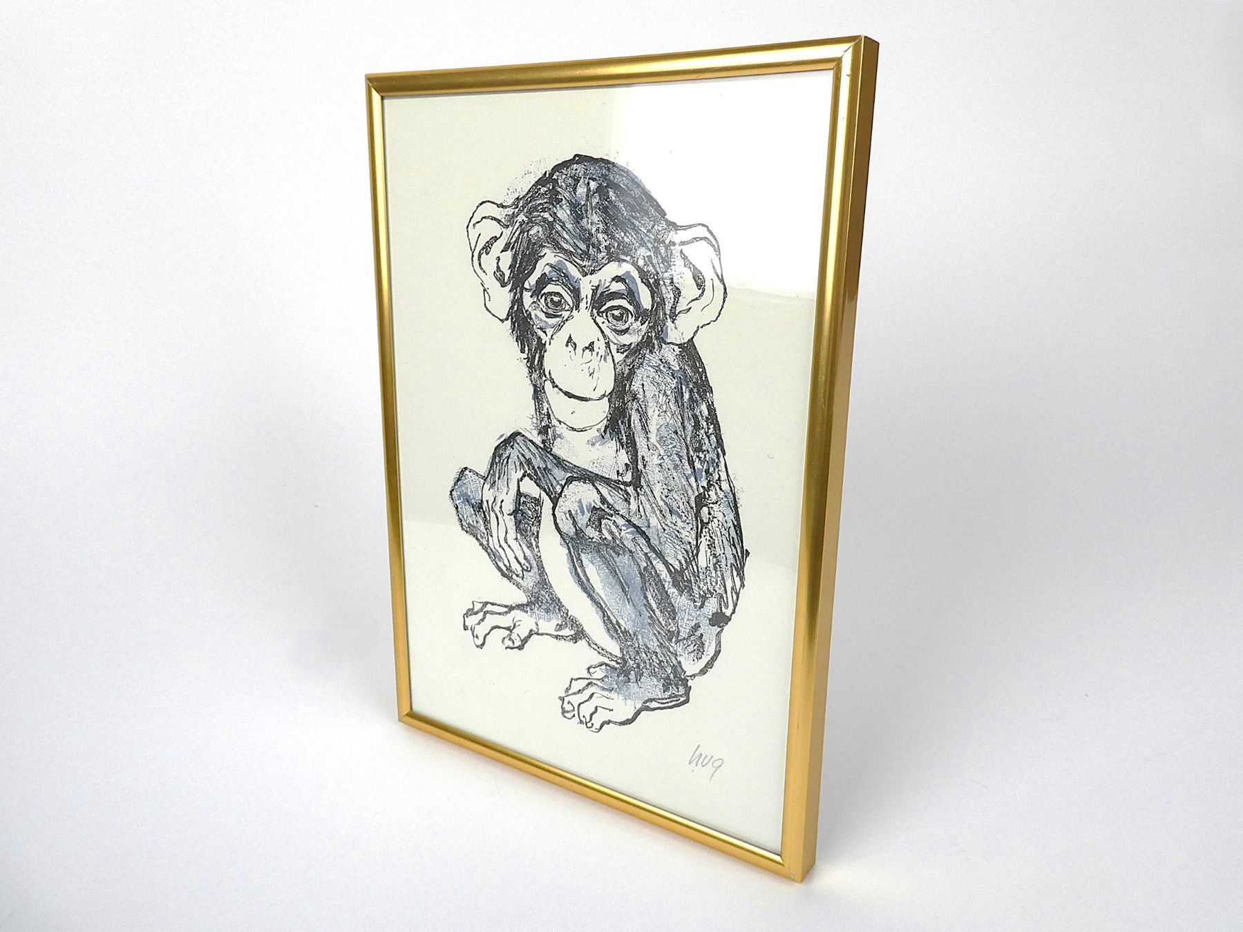 Grafiken & Lithographien: Originallithographie eines Affens, handsigniert - Fritz Hug – Gebraucht aus Urtenen-Schönbühl von Restwert_Schoenbuehl 1