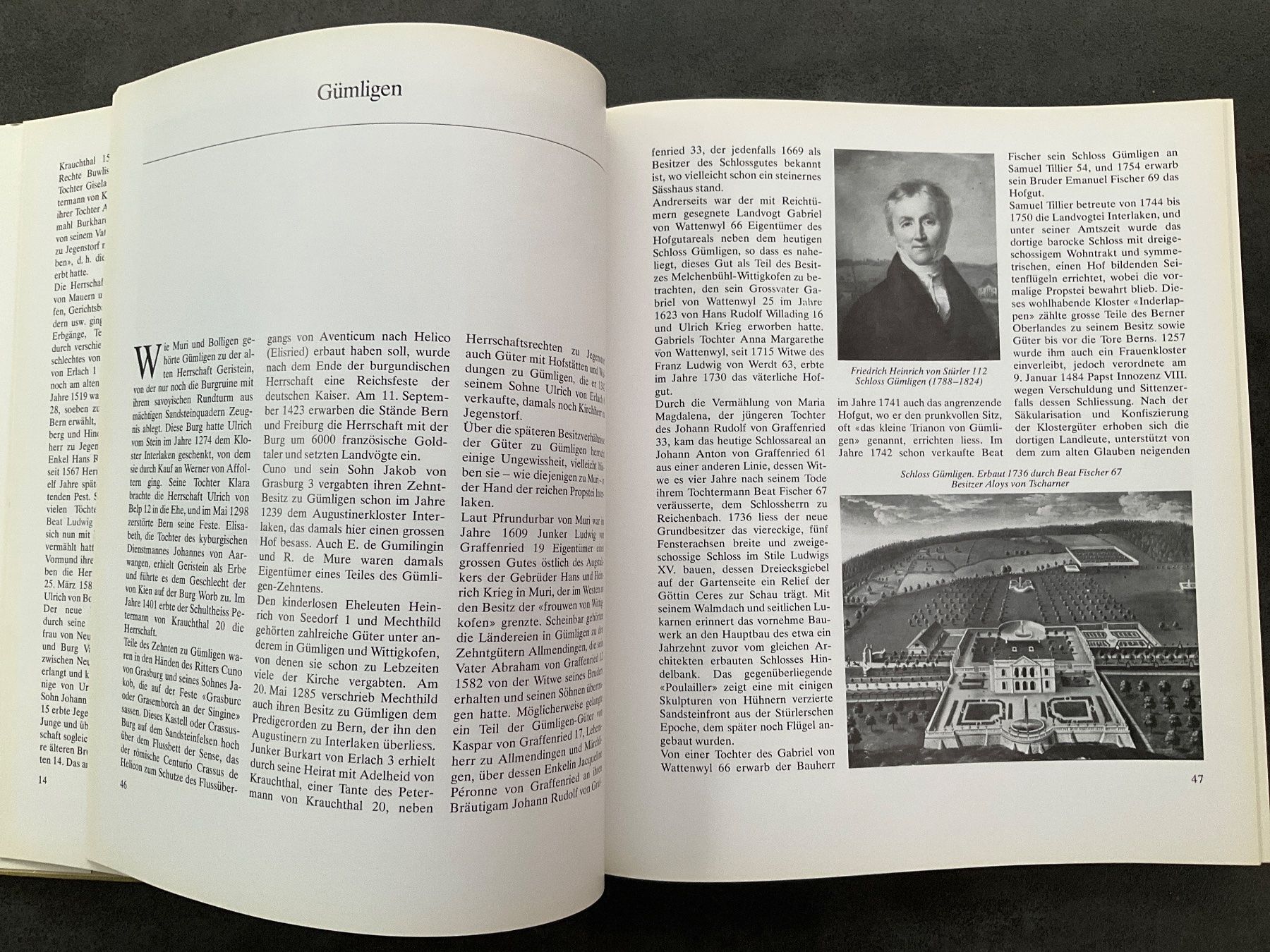 Libri: "Bernische Wohnesschlösser", Buch – Usato da Avenches venduto da Lactobacille 2
