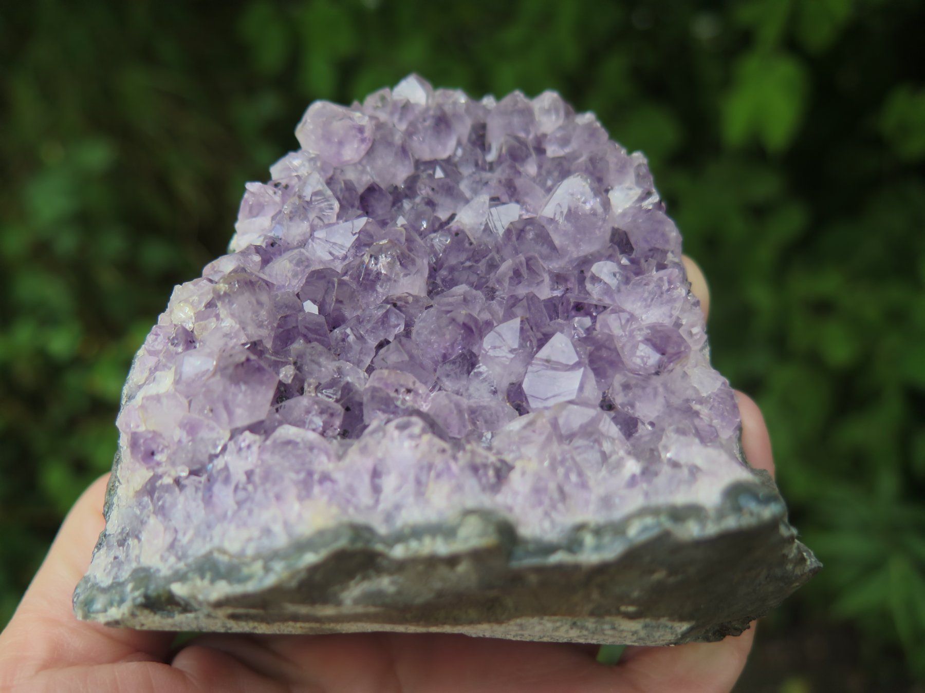 Minéraux & Lithothérapie: Amethyst von Brasilien ca. 426 gr. – D'occasion à Schaffhausen par Yamakana51L8736OQ8 1