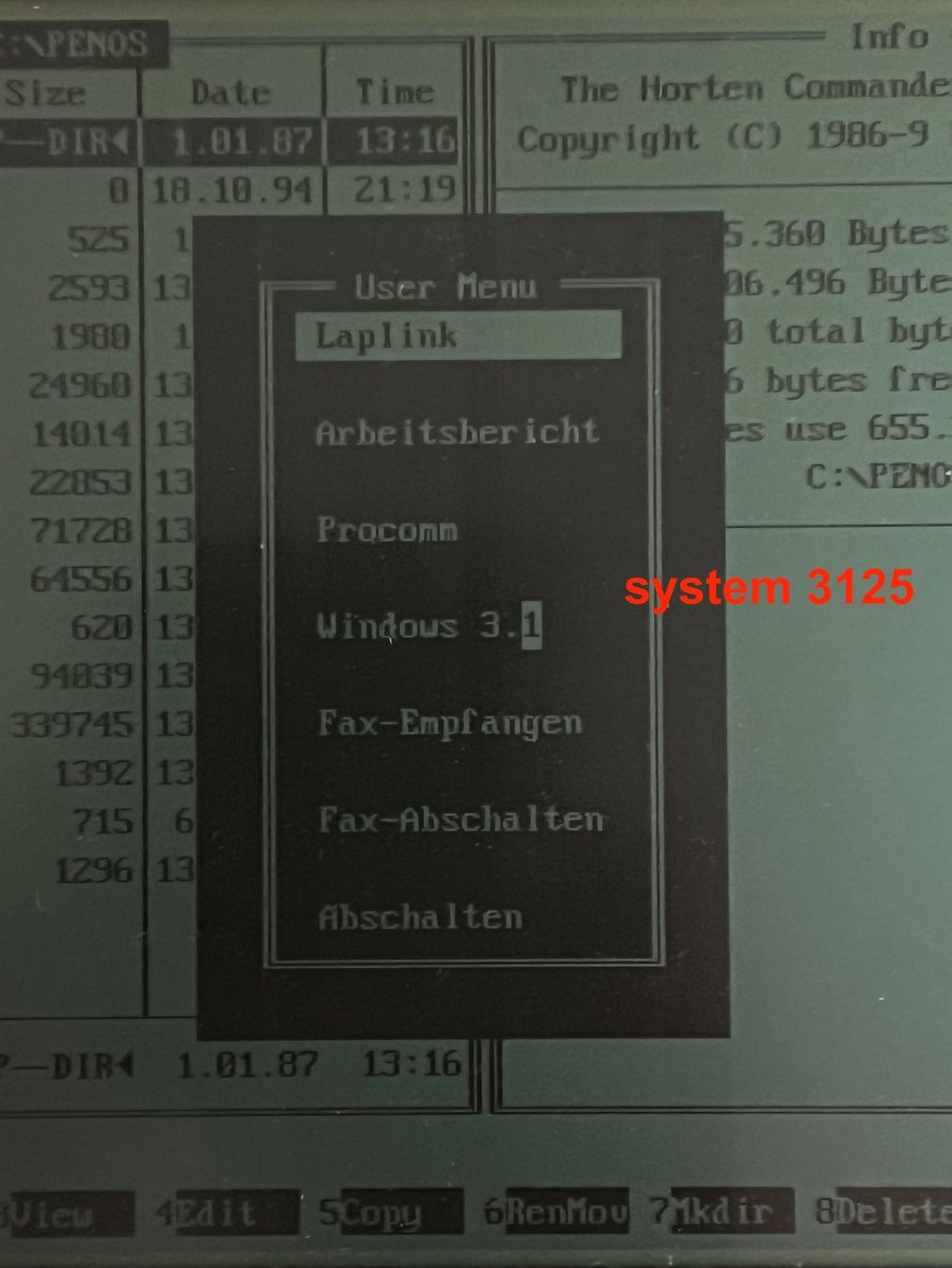 PC: Seltene Vintage Tablet-/Pen-Computer: NCR System 3130 + 3125 – Usato da Steckborn venduto da rboelsterli 1