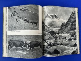 A Roch - Die Gipfelwelt der Haute-Route. Halbleder. 1944