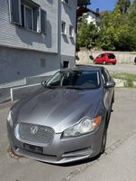 Jaguar XF V6 MFK 2024 AB 1.-CHF  TOP ANGEBOT