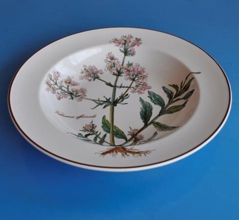 Villeroy & Boch Botanica Suppenteller 21cm - Naturdesign Ohne Wurzel