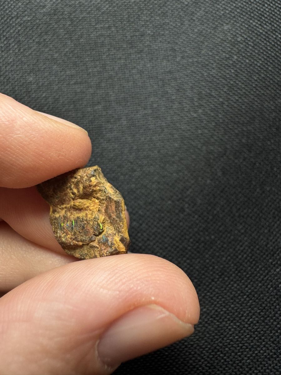 Pietre preziose: Boulder Opal Lot 2, 97.65 ct – Nuovo e nell'imballaggio originale da Wängi venduto da Horus90 4