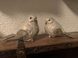 1 Paar Vögeli / Birds / Vogel
