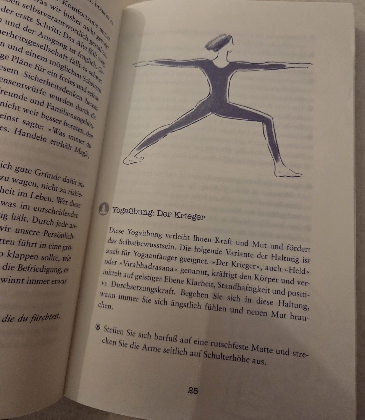 Bücher: Buch Der Spirituelle Notfall – Gebraucht aus Wetzikon ZH von strubeli444 3