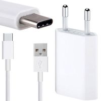 KIT 2 IN 1 USB C MIT LADEGERAT (TWINT)