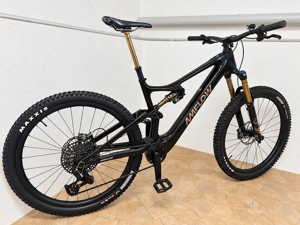 Biciclette: Amflow PL Carbon Pro Neuwertig – Usato da Wallisellen venduto da vs92 2