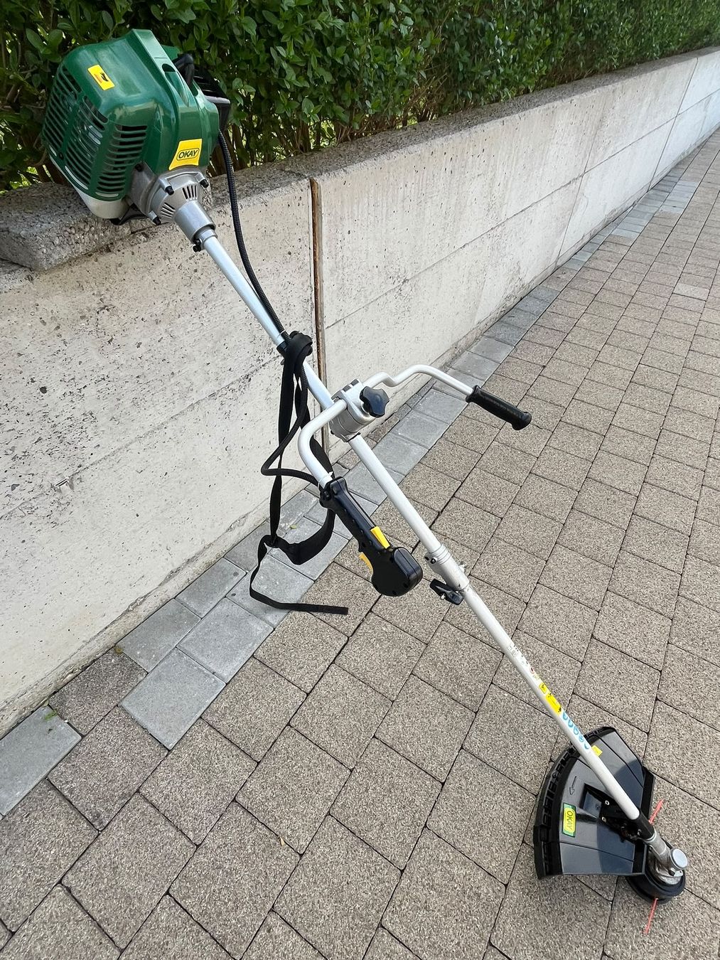 Tagliaerba: OKAY Rasentrimmer – Usato da Büetigen venduto da nyli67 3