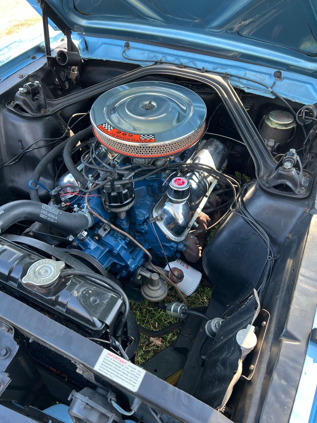 Ford Automobili: Ford Mustang GT, High Performance, K-Code – Usato da Adetswil venduto da waberg1 3