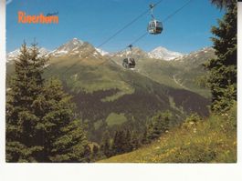 Rinerhorn 1994