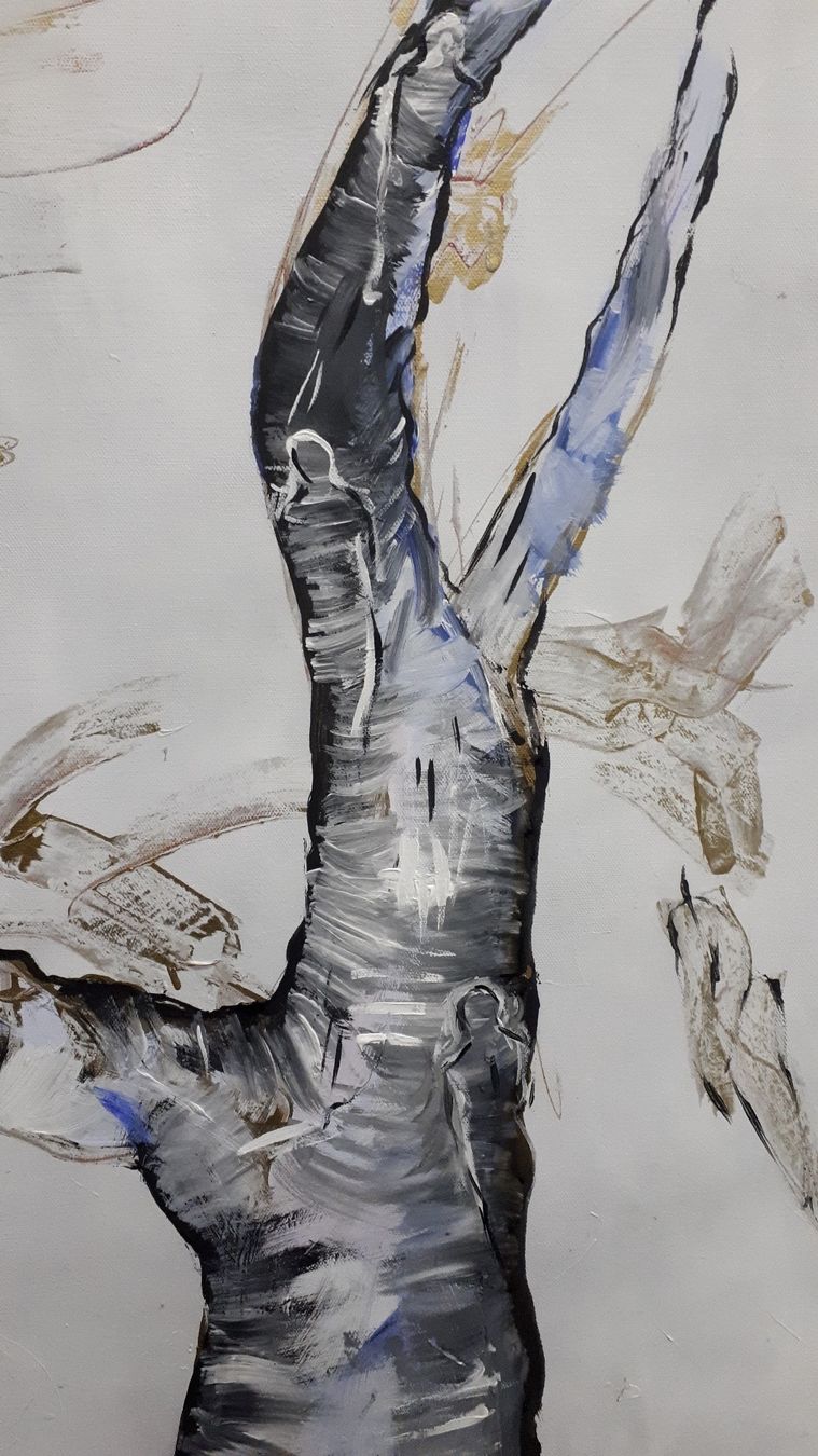 Foto & Immagini: Acrylbild – Usato da Liestal venduto da Stephanoceras1 2