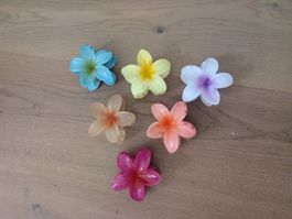 Haarklammern Blumen, super Zustand