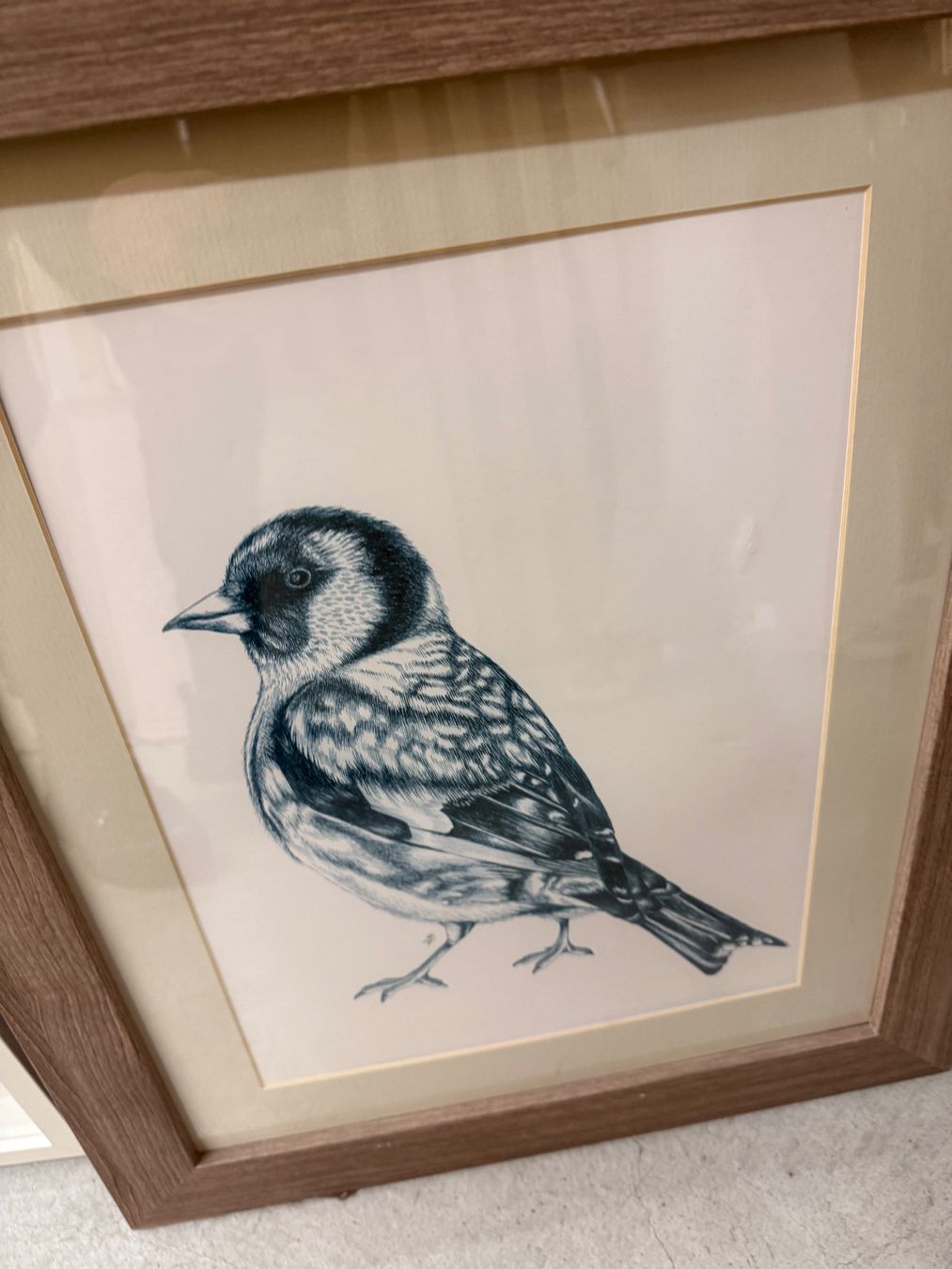 Poster & Bilder: Bilder - Kunst – Gebraucht aus Freienbach von Mariadlgg 9