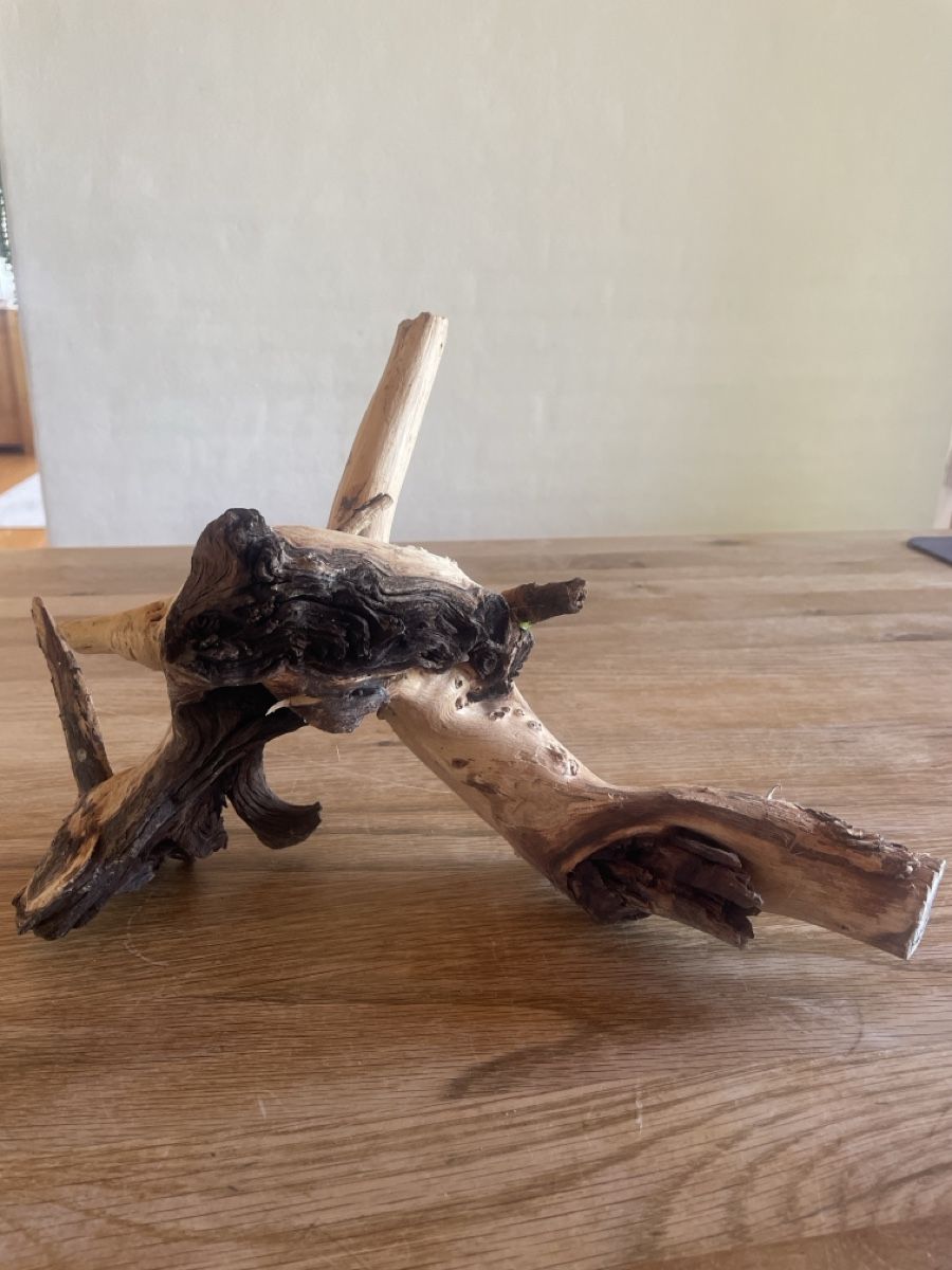 Articoli in legno: Deko Holz / Wurzel – Usato da Freidorf TG venduto da ibipatria