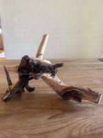 Deko Holz / Wurzel