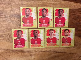 Panini Sticker WM 2026 CAN