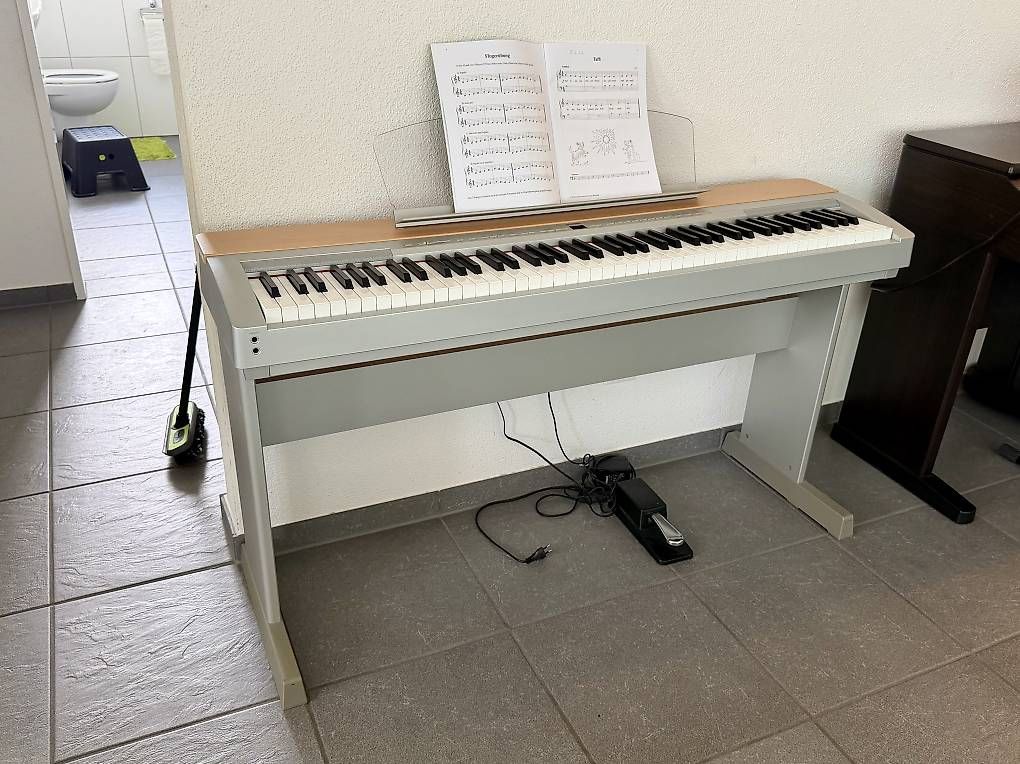 Strumenti musicali: Yamaha P-140S Digitalpiano – Usato da Muri AG venduto da cag733