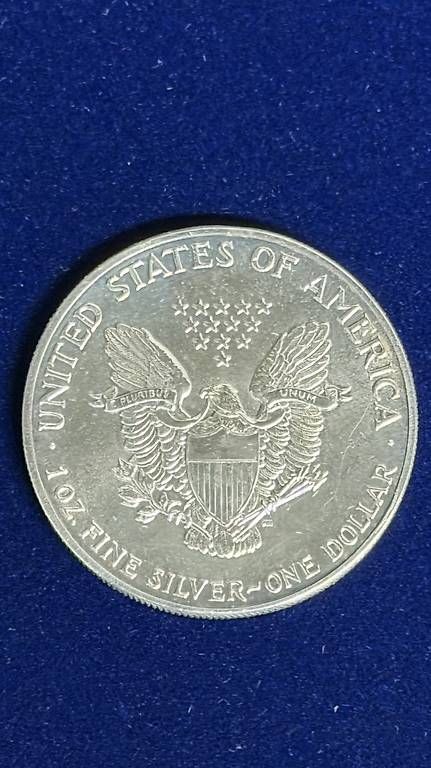 Tutti le monete: American Silver Eagle 1989  1 oz Feinsilber – Usato da Lohn-Ammannsegg venduto da FoxTub