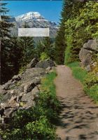 AK Leukerbad - Loèche les Bains, Der Waldweg mit Rinderhorn