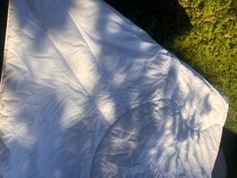Downia Daunen-Duvet Ganzjahresduvet 160x210cm neuwertig