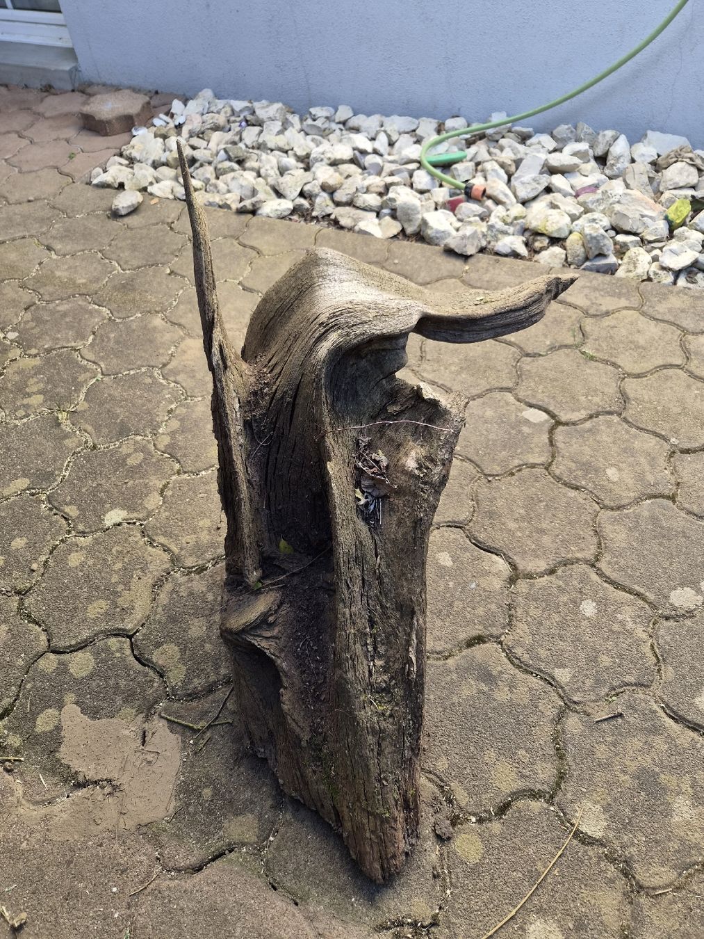 Articoli in legno: Einzigartiges Stück Eichen Wurzelholz für Garten oder Deko – Usato da Möhlin venduto da Lix